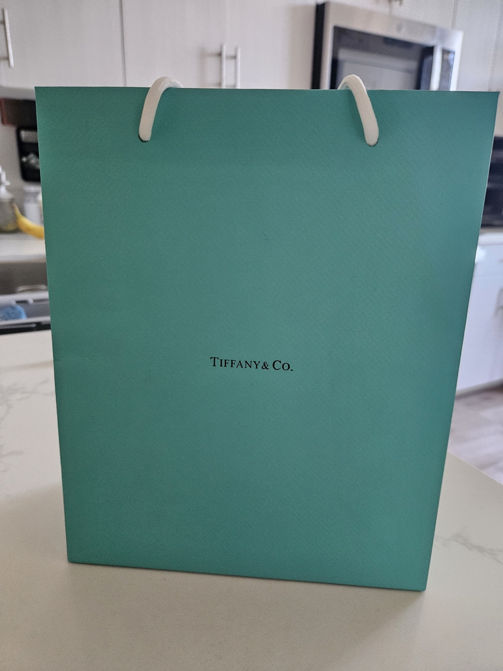 Tiffany & Co. Signature Blue Gift Bag